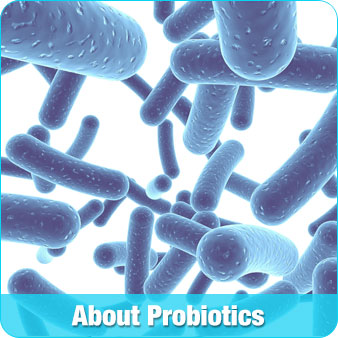 About Probiotics