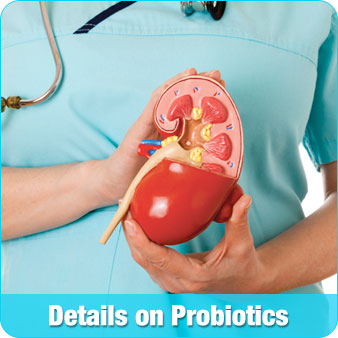 Details on Probiotics